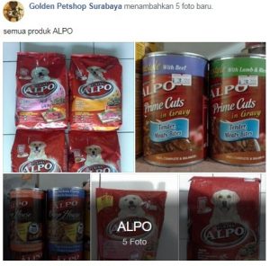151 Pet Shop Surabaya - Review, Alamat dan Nomor Teleponnya