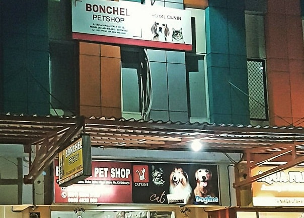 151 Pet Shop Surabaya - Review, Alamat dan Nomor Teleponnya