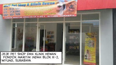 151 Pet Shop Surabaya - Review, Alamat dan Nomor Teleponnya