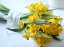10 Jenis Bunga Terbaik untuk Membuat Hand Bouquet
